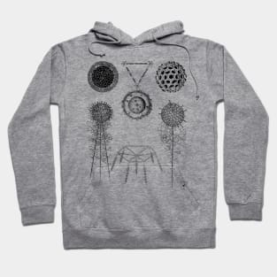 Radiolaria | Sea Creatures Microscopic Animals Hoodie